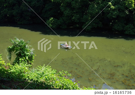 皇居の濠とボート 16165736