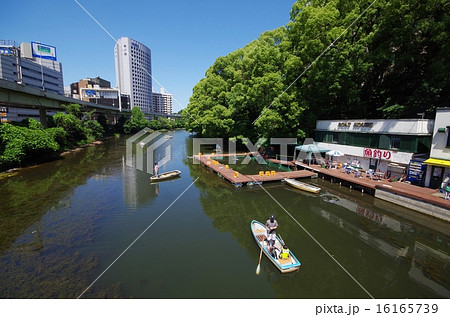 港区の弁慶濠 16165739