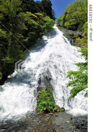 栃木県 日光国立公園 奥日光三名瀑の湯滝の写真素材