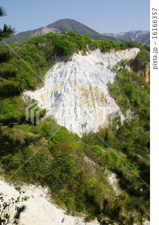 日本キャニオン 16166357