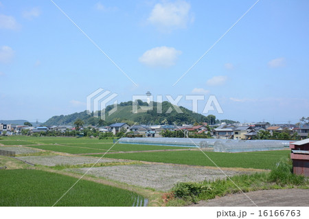 田園 田園 16166763