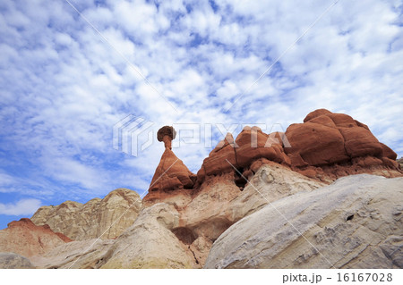 Toadstool Hoodoo 16167028