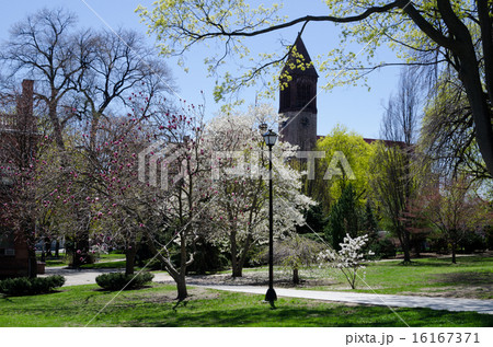 Lafayette Park ニューヨーク州都オールバニ Lafayette Park ニューヨーク州都オールバニ 16167371