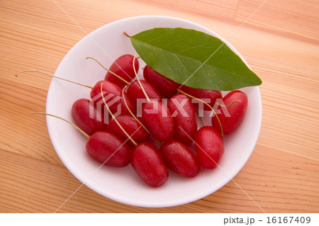 グミの実 16167409