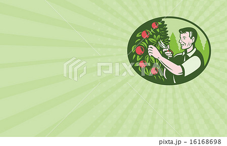 Business card Horticulturist Farmer Pruning Fruit 16168698