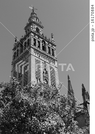 Sevilla 16170884