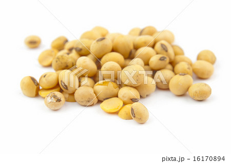 soybean soybean 16170894
