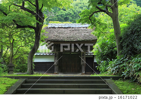 円覚寺居士林 16171022