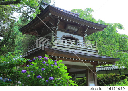 浄智寺 浄智寺 16171039
