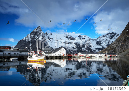 spring sunset - Reine, Lofoten islands, Norway 16171369