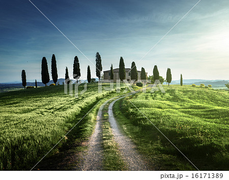 Tuscan views in spring sunset time,  Pienza, Italy Tuscan views in spring sunset time,  Pienza, Italy 16171389