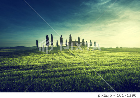 Tuscan views in spring sunset time, Pienza, Italy Tuscan views in spring sunset time, Pienza, Italy 16171390