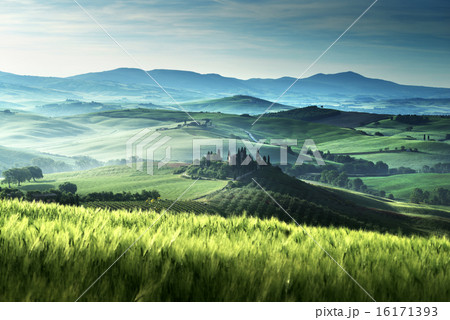 Early spring morning in Tuscany, Italy Early spring morning in Tuscany, Italy 16171393