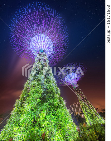 The Supertree at Gardens by the Bay, Singapore The Supertree at Gardens by the Bay, Singapore 16171663