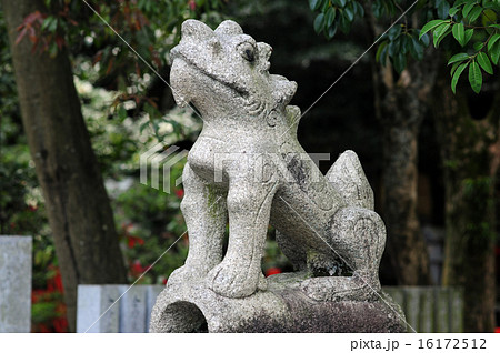 伊射奈岐神社参道の狛犬-1 16172512