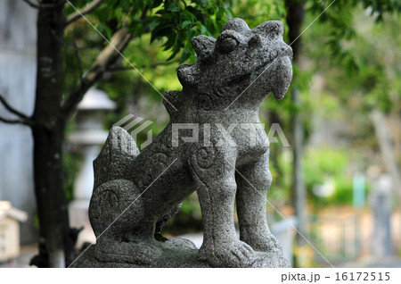 伊射奈岐神社参道の狛犬-4 伊射奈岐神社参道の狛犬-4 16172515