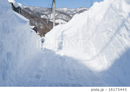 通学路の除雪 通学路の除雪 16173443
