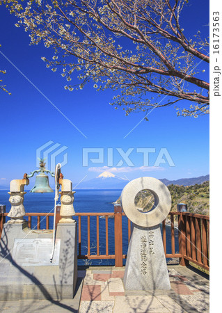 静岡県伊豆の恋人岬から望む富士山 16173563