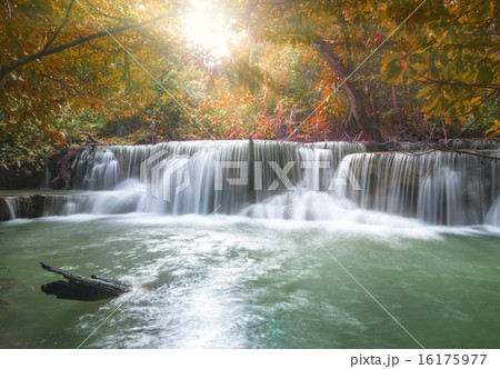 Beautiful waterfall in deep forest with soft focus 16175977