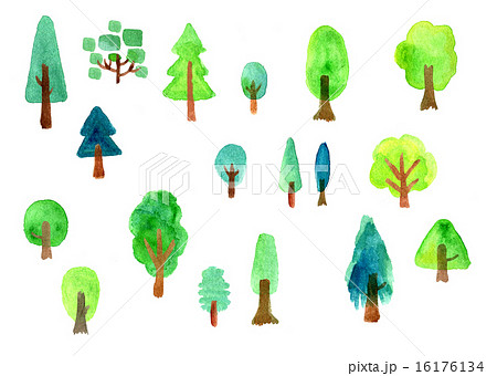 いろいろな木のイラスト素材 16176134 Pixta