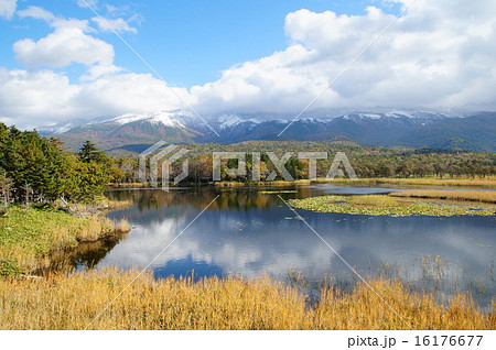 秋の知床 16176677