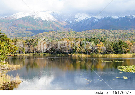 秋の知床 16176678