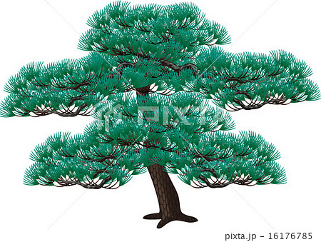 松の木のイラスト素材