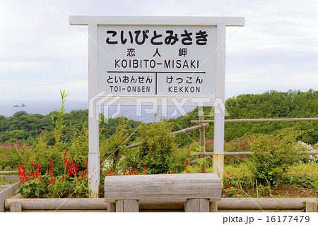 こいびとみさき 16177479