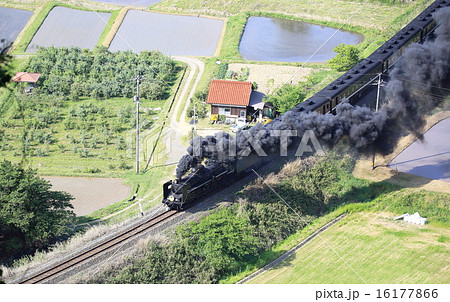 津和野 津和野 16177866