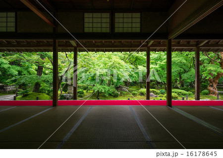 京都 圓光寺 日本庭園 京都 圓光寺 日本庭園 16178645