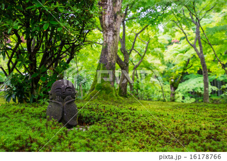 京都 圓光寺 日本庭園 京都 圓光寺 日本庭園 16178766