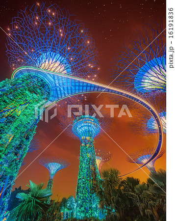 The Supertree at Gardens by the Bay, Singapore The Supertree at Gardens by the Bay, Singapore 16191836
