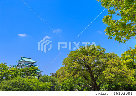 新緑まばゆい名古屋城 新緑まばゆい名古屋城 16192981