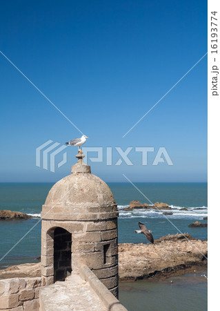 old fortress in Essaouira, Morocco old fortress in Essaouira, Morocco 16193774