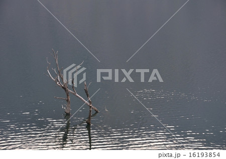 湖の風景 16193854