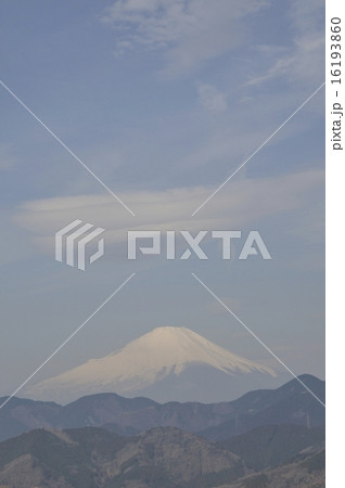 菜の花台より富士山 16193860