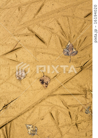 Dry soil 16194020