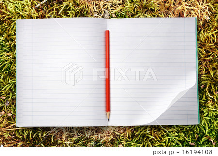 Notebook with pencil Notebook with pencil 16194108