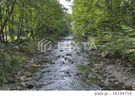 Small mountain river 16194759