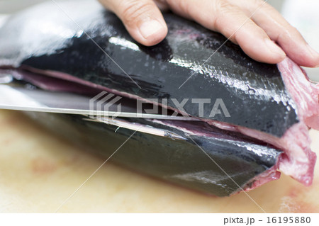 まぐろ 鮪 マグロ 本鮪 本マグロ 魚 捌く 解体 料理 職人 日本食 和食の写真素材