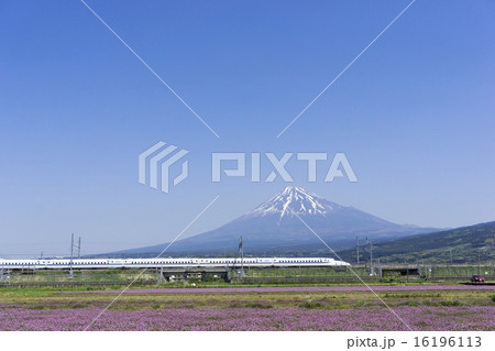 新幹線と富士山とお花畑 快晴青空 大空コピースペース 新幹線と富士山とお花畑 快晴青空 大空コピースペース 16196113