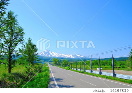 鳥海高原 (13) 16197339