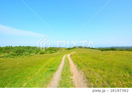 鳥海高原 (20) 16197362