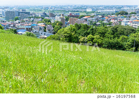 丘から眺めた多摩の住宅街の風景 16197568