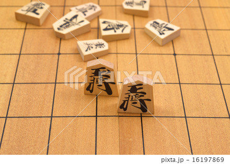 王将 王将 16197869
