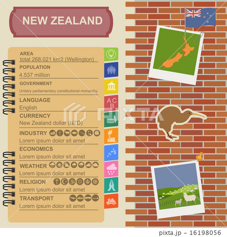 New Zealand infographics, statistical data New Zealand infographics, statistical data 16198056