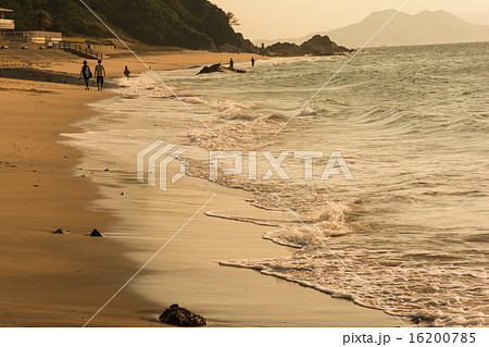 志賀島 16200785