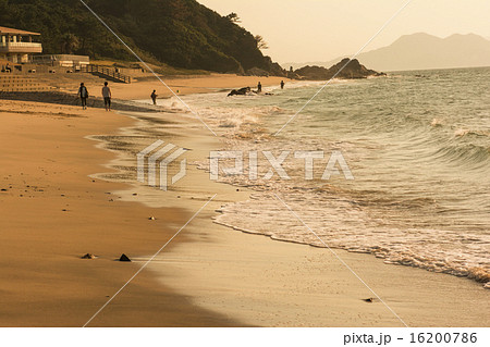 志賀島 志賀島 16200786