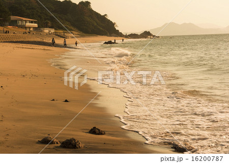 志賀島 16200787