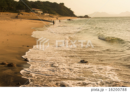 志賀島 16200788